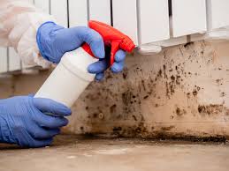 Best Asbestos and Lead Testing During Mold Inspection  in Cheverly, MD